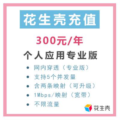 花生壳个人版