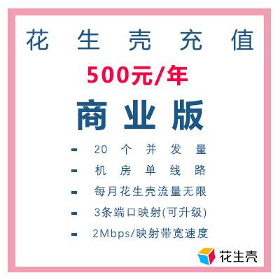 花生壳商业版