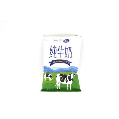 雪兰纯牛奶25...