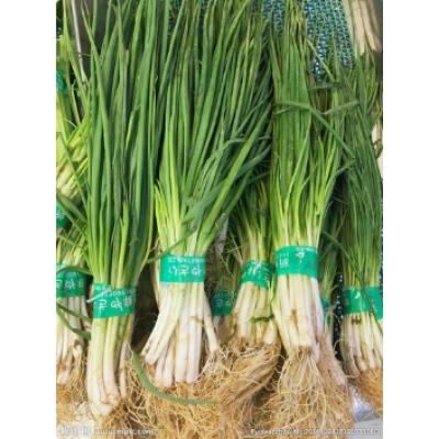 小葱/把(约50g)