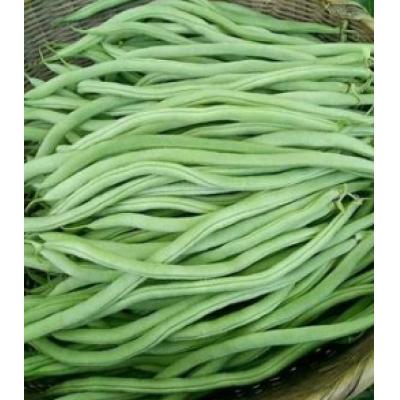 无筋豆/斤(500g±10g)