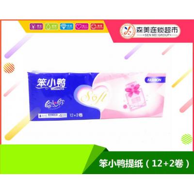 笨小鸭提纸（12+2卷）