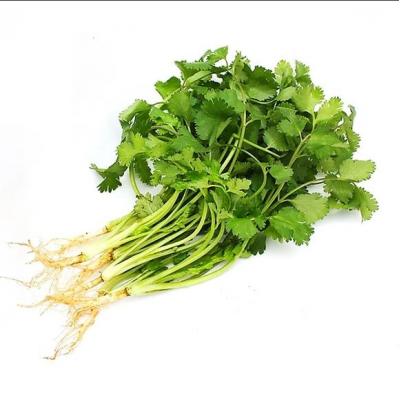 香菜(约50g)1扎